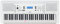 Yamaha EZ300 Tragbare Tastatur mit 61 Tasten und beleuchteten Tasten