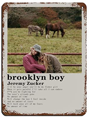 Jeremy Zucker Brooklyn Boy Album Cover The 90s Vintage Poster Retro Poster Metall Blechschild Chic Art Retro Eisen Malerei Bar Menschen Höhle Cafe Familie Garage Poster Wanddekoration 30 x 40 cm
