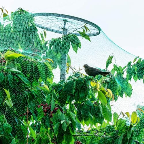 PanHuiWen Teichnetz Gegen Reiher Gartennetz Zaun Obstnetz Fischernetz Deko Groß Maschenweite 1.5x1.5cm Bäume Beeten und Sträucher vor Vogelfraß,10x15m