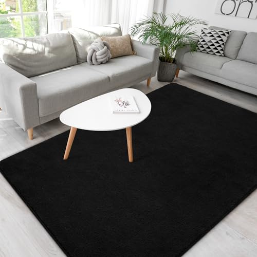 BENRON Soft Rugs for Living Room 4x6 Black, Minimalist Area Rug for Bedroom