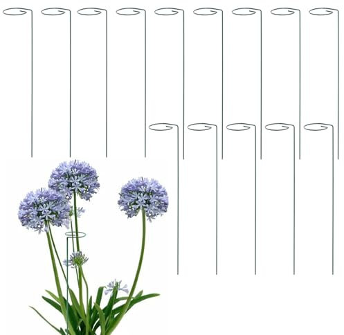 CHUIFAI 14 Stück 40cm Garden Pflanzenstütze Metall, Staudenhalter Strauchstütze Blumenstütze Stahl Single Stem Stützring Orchideenstab für Pflanzen, Blume, Tulpen, Rose, Lilie, Tomaten