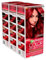 Garnier Color Sensation Colorazione Permanente Colore 6.60 Rosso Intenso in Crema Copre 100% dei Capelli Bianchi Effetto Seta con Olio di Rosa - 3 Tinte