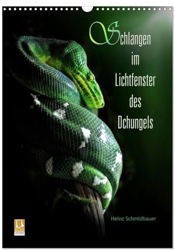 Schlangen im Lichtfenster des Dschungels (Wandkalender 2026 DIN A3 hoch), CALVENDO Monatskalender: Schlangen - nur wenige mögen sie, doch faszinierend ... von Heinz Schmidbauer. (CALVENDO Tiere)