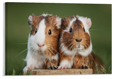 Puzzle 1000 Teile Erwachsenenpuzzle,Zwei hübsche Meerschweinchen,Kind Aus Papier Puzzle Panorama Art DIY Leisure Game Fun Geschenk Spielzeug Geeignete Freunde Familie(38x26cm)-153