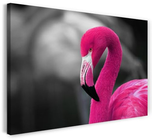 Printistico Leinwandbild (80x60cm) Pinker Flamingo auf schwarzem Hintergrund - Tier Fotografie, Natur Motiv, echter Holz-Keilrahmen inkl. Aufhänger, handgefertigt in Deutschland