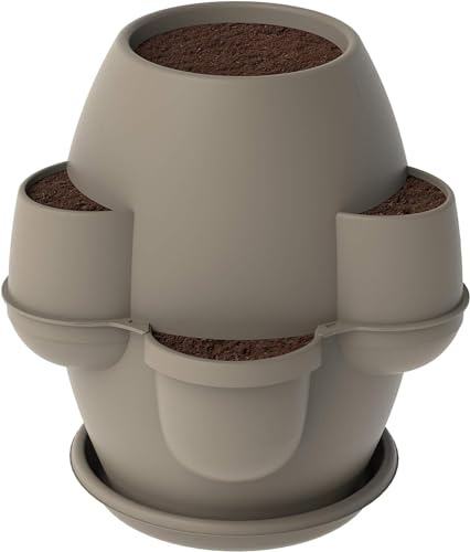 bama 31002