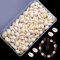GZLFH 120 Stk 17 Bis 21mm Kauri Muscheln, Natürlichen Muschel Perlen mit Loch für Diy Schmuck Machen Oder Deco Handwerk(Boxed)