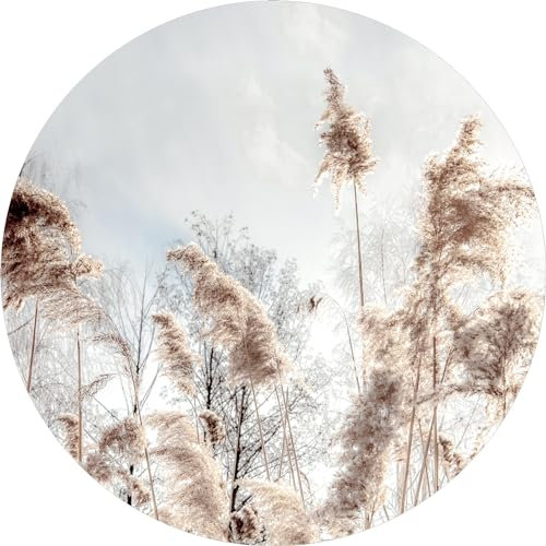 Pro-Art Glasbild Strandgras III, rund 50 cm