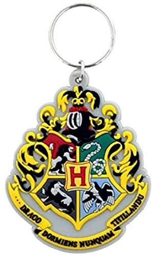 Wizard Harry Potter Hogwarts Häuser Ravenclaw Slytherin Hufflepuff Griffindor Schlüsselanhänger | Geschenk für Kinder | Mädchnen | Fans | Kino | Film |