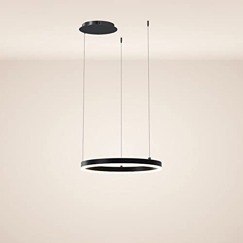 s.luce Ring Hängeleuchte Direkt Ringlampe Ringleuchte Hängelampe Pendellampe Pendelleuchte, Farbe:Schwarz, Größe:40cm, Abhängung:250cm