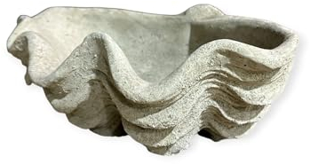 OriginalPaul Skulp & Betondesign Vogeltränke Muschel - Handgefertigt aus frostresistentem Beton (Höhe 13cm / Breite 39cm / Tiefe 26cm)