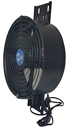 TIIAXCZ Powerful Kitchen Fan External Rotor Axial Flow Fan 8 10 12 Household Industrial Extractor Fan with Mesh Cover 6ft Power Plug Cable
