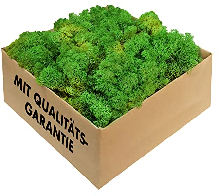 Islandmoos - konserviertes Moos in 200g/500g/1kg/4kg für Moosbilder, als Deko oder zum Basteln (laubgrün, 500g)