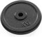 Dione 1x 15 kg Hantelscheibe 30mm - Gewichte – Gusseisen