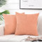 FDTERN 2er Set Lachsrosa Kordsamt Kissenbezug 40x40CM Weich Moderne Dekorative Kissenbezüge Kissenhülle Dekokissenbezug Sofakissen Dekokissen Boho Deko für Sofa Schlafzimmer Wohnzimmer Balkon