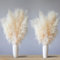 12 Piezas Hierba de Pampas Natural 114Cm Hierba de Pampas Secas Decoracion Grand Plantas Secas para Sala De Estar, Hogar, Piso, Jarrón, Decoración Boho（Beige）