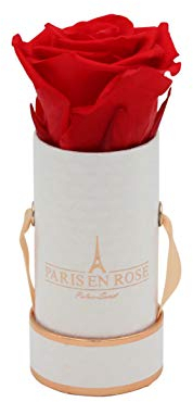 PARIS EN ROSE Rosenbox DELUXE | mit einer roten Infinity Rose Größe XL | konservierte ewige Rose | runde Weiß-Roségoldene Box | 3 Jahre haltbar | Grußkarte