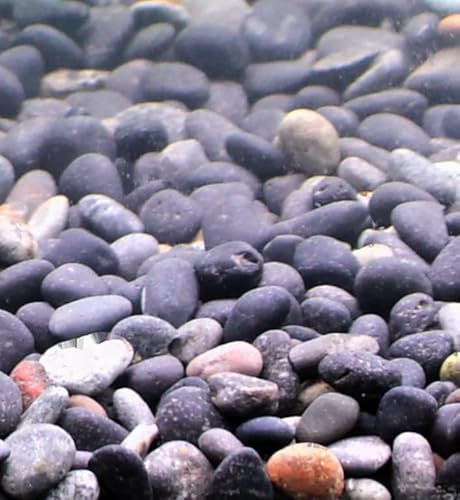 Silbermann Dark Gravel, dunkler Aquarienkies für Meer- und Süßwasser, 5-8mm Körnung, 5kg