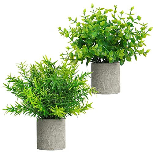 Weldomcor Kunstpflanzen Künstliche Pflanzen mit Grauem Topf, Künstlich Eukalyptus Rosmarin Kunstpflanzen im Topf Deko Home Schreibtisch Küche Badezimmer Tischdeko, 2 Stück