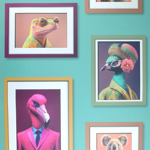 Fantastic Animals Multicoloured Wallpaper - Picture Frames Modern Flamingo Lizard Koala Peacock - Stylish Feature Wall