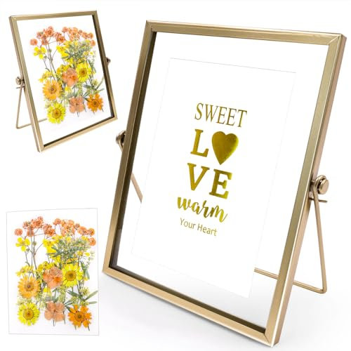 SDwfxd 1 Pcs Cadre Photo en Verre pour Fleurs Pressées, 15.5 x 25 cm Cadre Photo en Métal Double Face, Cadre en Verre pour Photos, Cartes, Affiches, œuvres d'art, Certificats, Cadre Flottant