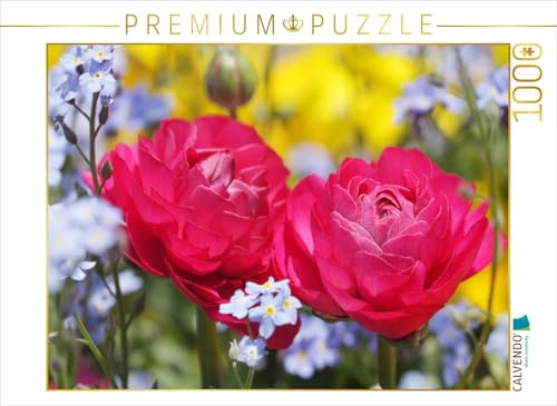 CALVENDO Puzzle Pinke Ranunkeln umgeben von Vergissmeinnicht | 1000 Teile Lege-Größe 64 x 48 cm Foto-Puzzle für glückliche Stunden