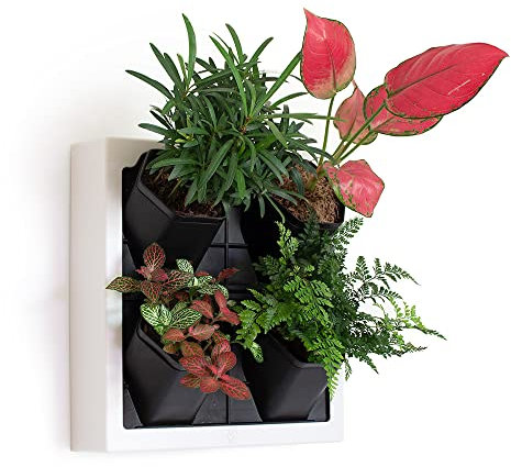 Inspiration Jungle Selbstbewässernder Wand-Pflanzgefäß mit 4 Töpfen, einfach zu erstellen, für den Innenbereich, Wohnwand für Zuhause, Büro und Ladenfront, inklusive Wassermesser (weiß)