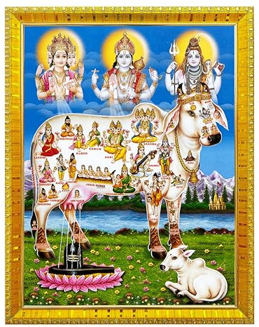 Koshtak Kamdhenu Kuh mit Brahma Vishnu Mahesh/Shiva Giving Blessing Fotorahmen mit laminiertem Poster für Puja Zimmer Tempel Anbetung (30 x 23 cm) (Goldener Rahmen)