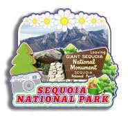 Dwutahcy Magnete da frigorifero in legno 3D per Sequoia National Park Arizona USA City Travel Souvenir adesivo per frigorifero decorazione casa cucina regali