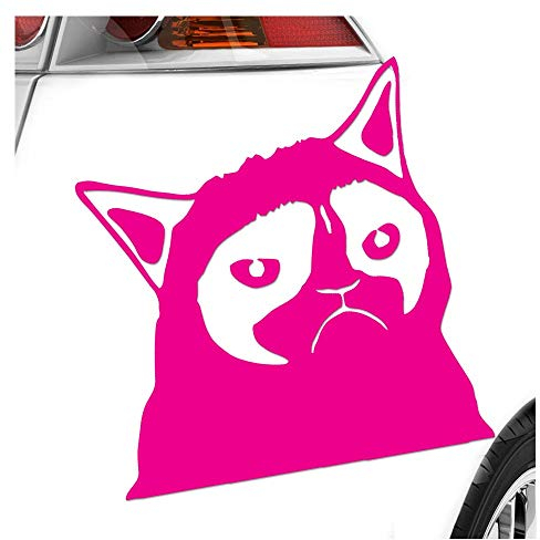 Kiwistar - Autoaufkleber - Grumpy Cat - Meme - No Heckscheibe - Aufkleber für Auto Kfz Fahrrad, LKW, Truck Mofa