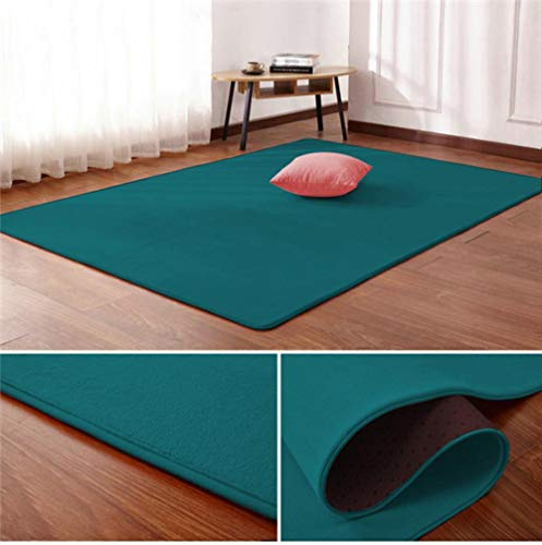 AOM Nordic Coral Velvet Teppich Wohnzimmer Bodenmatte Schlafzimmer rutschfeste Decke Wohnzimmer Teppich Schlafzimmer Nacht rechteckigen Boden Pad, 6,40 cm x 60 cm