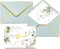 Winoo Design PP-TYC-GN Dankeskarten mit Umschlägen, Grün, 36 Stück, 10,2 x 15,2 cm, Hochzeits-Dankeskarten für Babyparty, Dankeskarten für Brautparty, Geschäft, Geburtstag, Grün