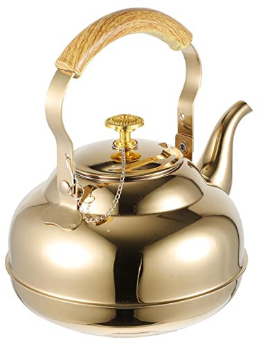 GOOHOCHY Elegant and Chic Teapot Simple Design with Tea Leaves Infuser for Office