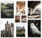 ARTFAVES® Ensemble d'affiches decoration murale - TÊTE DE POTIER - 8 poster moderne - Salon et chambre Ecosse, Angleterre, mystique, train, harfang des neiges - sans cadre
