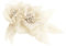 BROCHE FLEUR SIENA - BEIGE