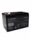 ULTRAMAX NP14-12, 12V 14Ah Sealed Lead Acid - AGM - VRLA Battery