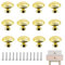 HOMEJOY 12 Stück Schrank Griffe Runde Gold Schubladen Knöpfe Vintage Möbelknöpfe Türknöpfe Runden Mit Schrauben für Kleiderschrank Schublade Küche Schminktisch
