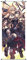 CosplayStudio Großes Fate Apocrypha Rollbild/Kakemono aus Stoff | 100x40cm | Motiv: Jeanne & Ruler