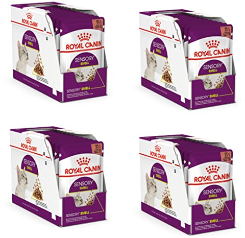 Royal Canin Sensory Smell | 4er Pack | 4 x 12 x 85 g | Nassfutter für ausgewachsene Katzen | Stückchen in Soße | Zur Anregung des Geruchssinns | Instinktiv bevorzugt