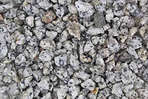 Gravier décoratif 1 kg de granit gris lavé grain 10-16 mm gravier de jardin gravier décoratif décoratif