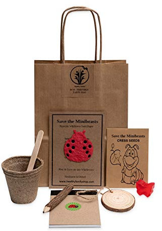 Healthy Family Eco-Friendly Birthday Party Bags - 10 Pre-filled Sets for Kids, No Plastic, Sustainable Thank You Gifts (Save The Minibeasts)