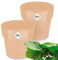 Gardebruk® 2X Pot de Fleurs b.for Original Pêche 14x13cm Rond Cache-Pot Pot de Fleurs Pot de Plantes Plastique Balcon