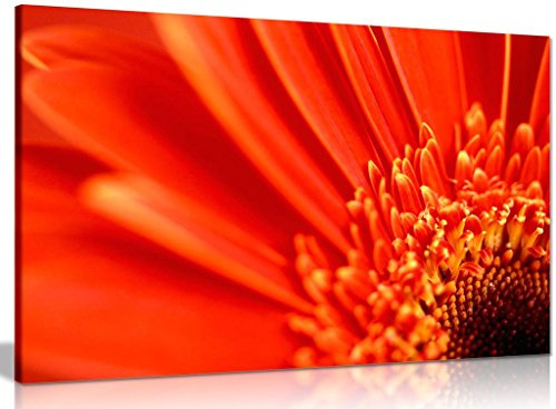 Orange Flower Floral Canvas Wall Art Picture Print (12x8in)