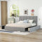 ModernLuxe Bett Samtstoff, Einzelbett/Doppelbett, Polsterbett mit Schubladen, Rückenlehne und Lattenrost, Höhenverstellbares Kopfteil,Jugendbett Gästebett (ohne Matratze) (Grau D, 160 x 200cm)