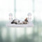 SANON Cat Window Bed Hammock, Foldable Cat Window Perch with Strong Suction Cups Mount