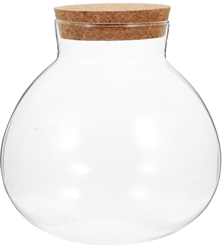 Wensmy Glass Bottle Hydroponic Terrarium Container - Round Succulent Vase With Lid for Air Plants