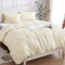 Copripiumino Matrimoniale 100% Cotone 240x220 (2 Federe 50x80), Set Copripiumino in Premium Cotone 150GSM OEKO-TEX, Morbida, Traspirante, Ipoallergenica - Beige Chiaro