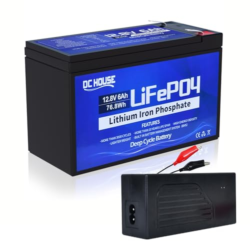 DCHOUSE Batteria al litio ricaricabile LiFePO4 da 12 V 30 Ah con caricatore 4 A,Convertitore da 12V a Type-C e adattatore USB, Deep Cycle 4000, adatta per kit solari, pescatori, passeggini
