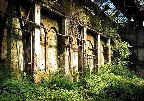 hansepuzzle 65226 - Lost Places Puzzle 130 Teile - Industrie-Puzzle mit hochwertiger Aufbewahrung: Kartonbox und wiederverschließbarem Beutel - Puzzle-Maße: 28,7 x 20 cm