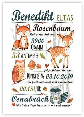 ABOUKI WALDTIERE GEBURTSPOSTER | Geburtsdatenbild Baby Kinderzimmerdekoration Geburtsbild Personalisiert Geburtsposter Personalisiert Bild Geburt Personalisiert | DIN A4 ohne Rahmen, Junge